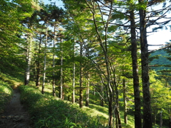 P7080022