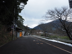 P2123427