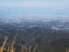 P2193828