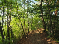 P4270265