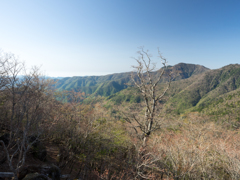 P4290089