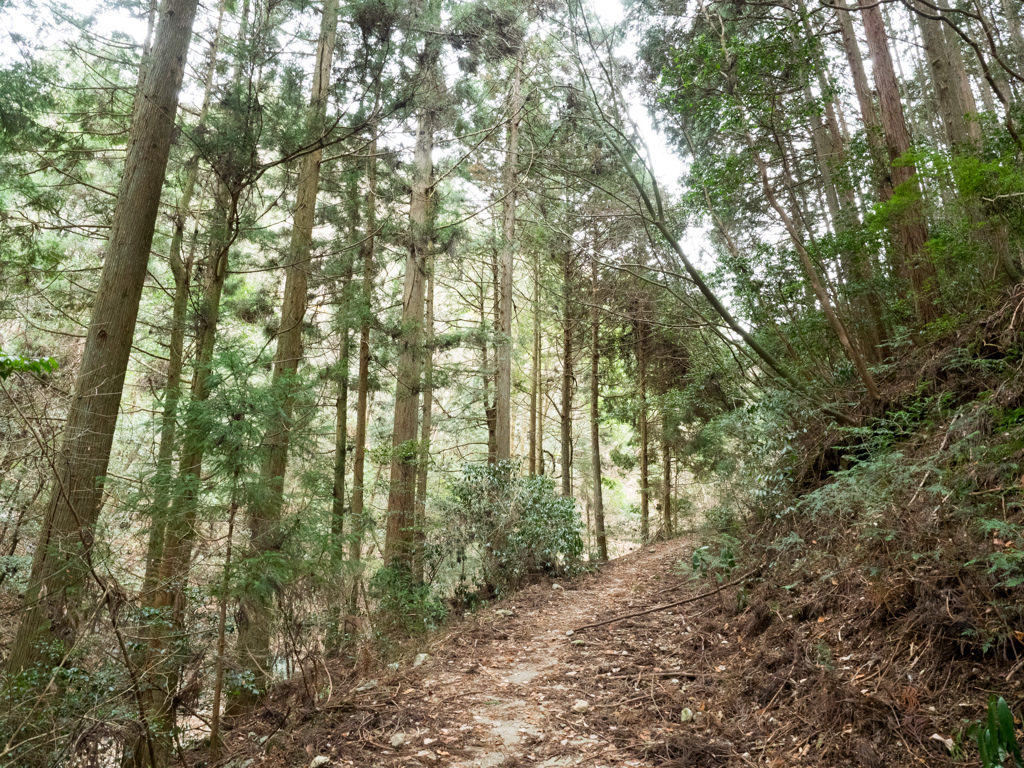 P1042641