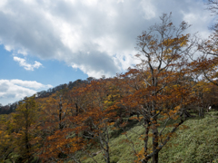 PA160089