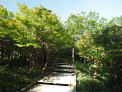 P7080062