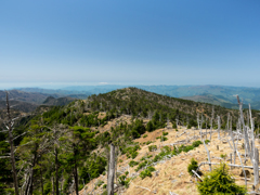 P4290239