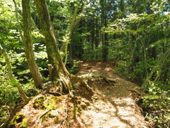 P4270054