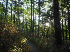 P7080014