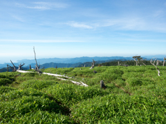 P7080098
