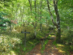 P6170051