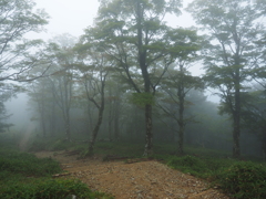 P9250073