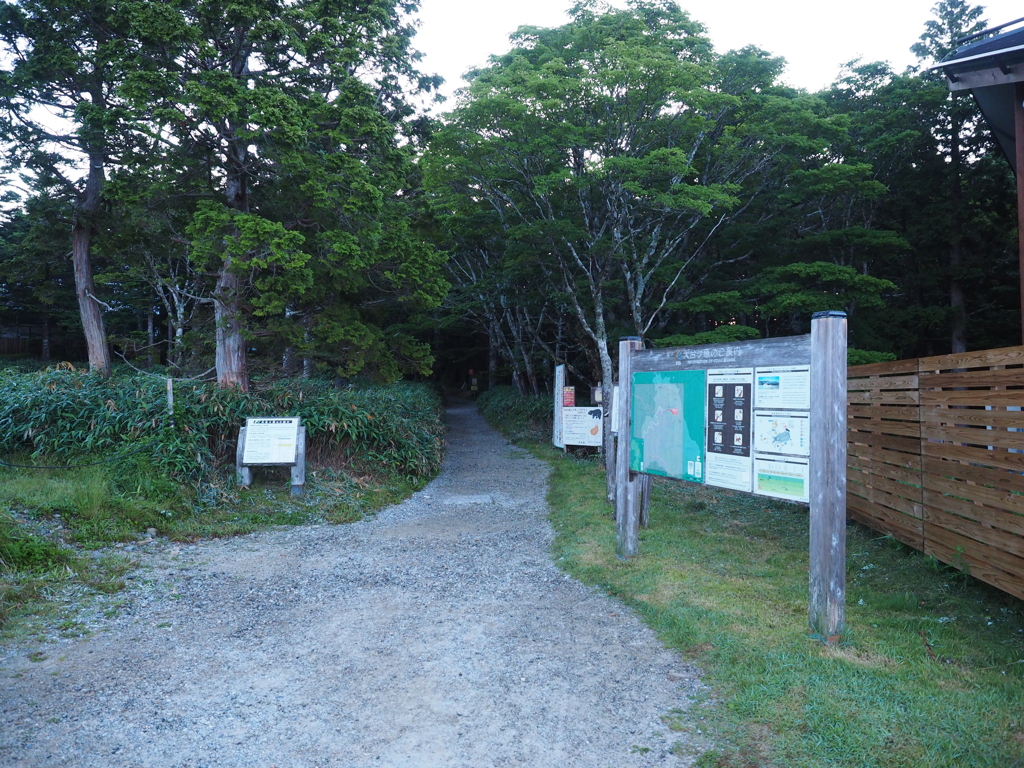 P7220005