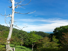 P7080113
