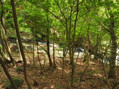 P5270124