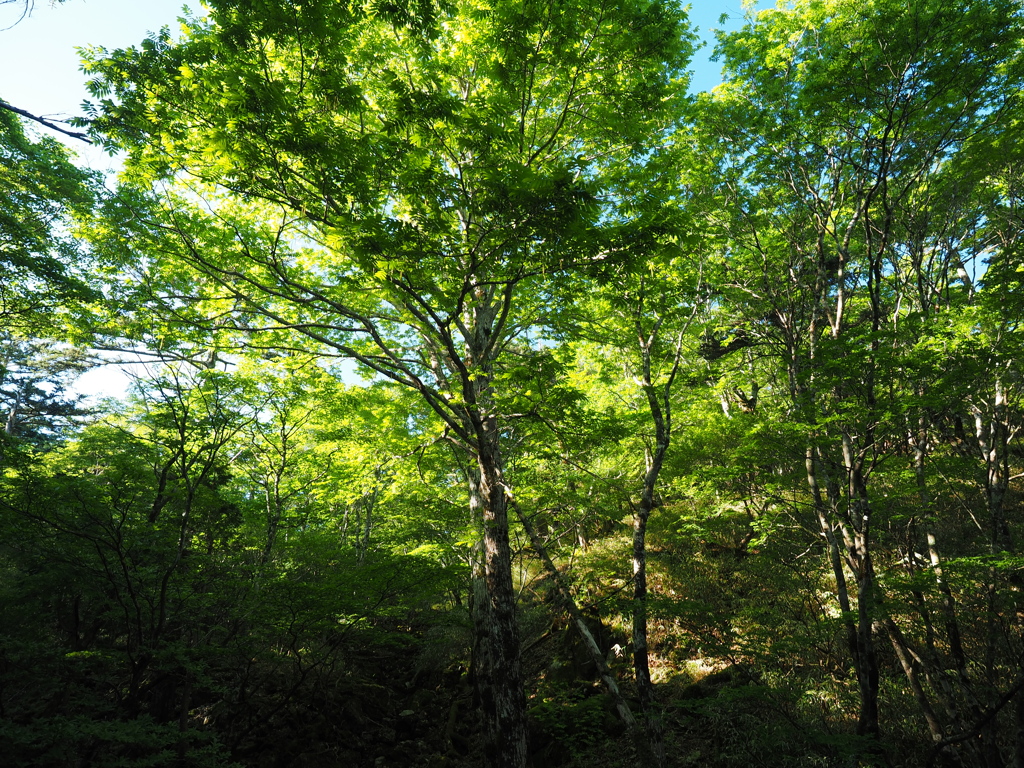 P6170051