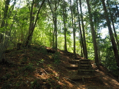 P4270047