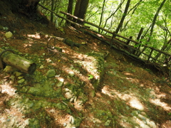 P4270050
