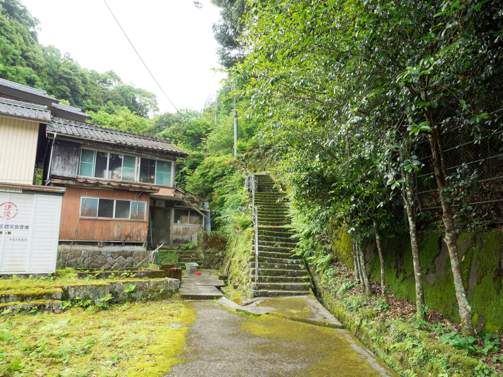 P5270025