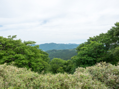 P6170084