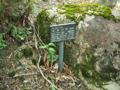 P6170028