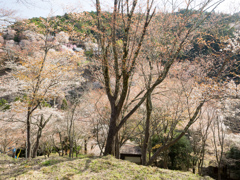 P3290036