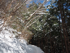 P2123653