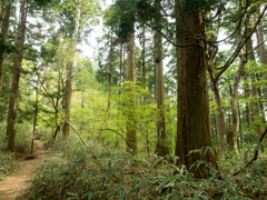 P4300074