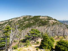 P4290192