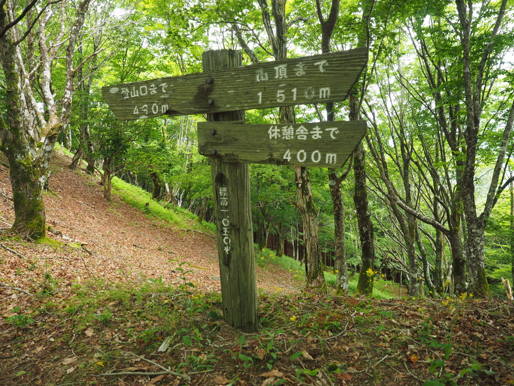 P6170099