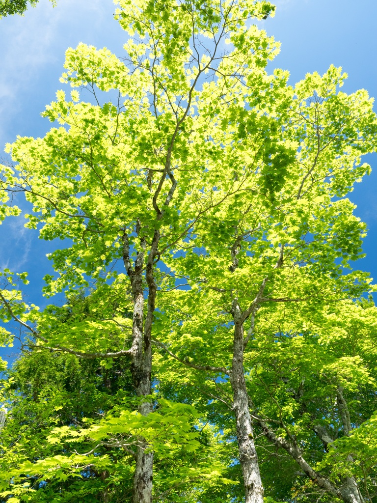 P6170295