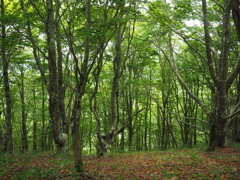 P6170097