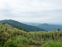 P6170080