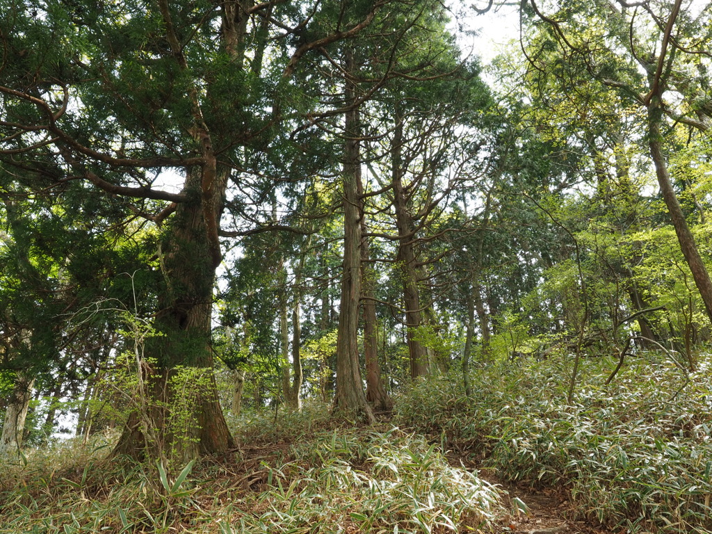 P4300063