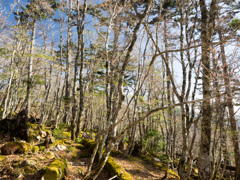P4290082