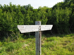 P6170024