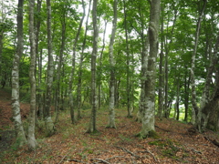P6170094