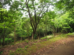 P5270060