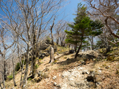 P4290286