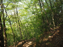 P4270253