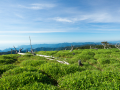 P7080089