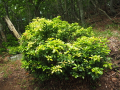 P6170095