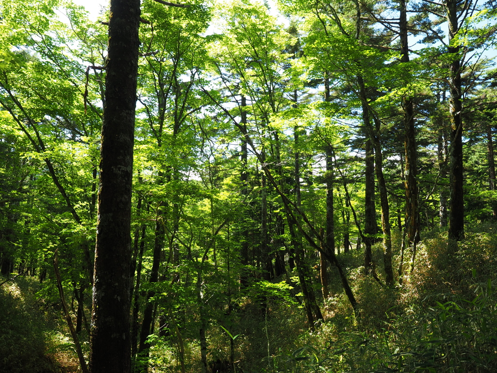 P6170345
