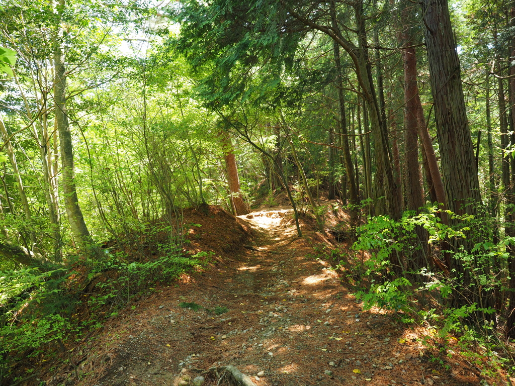 P4270060