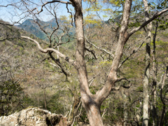 P4290292