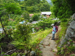 P5270277