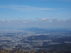 P2193774