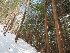 P2123659