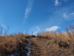 P2193768