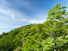 P7080052