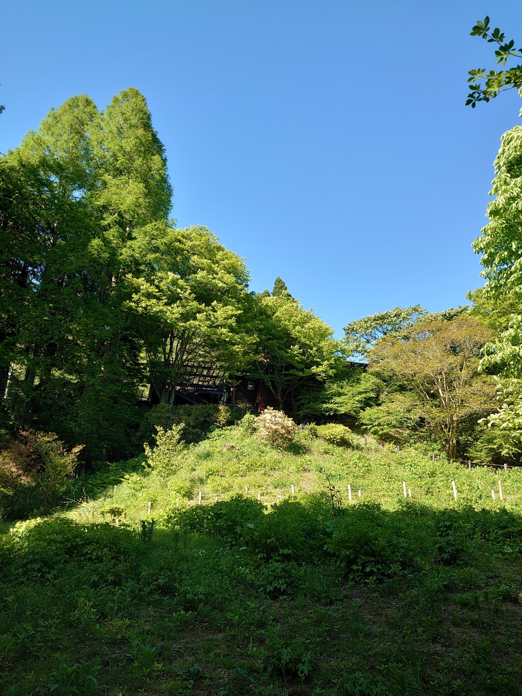 DSC_7083