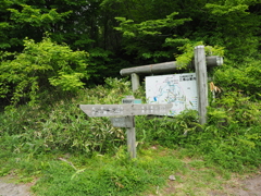 P5190020